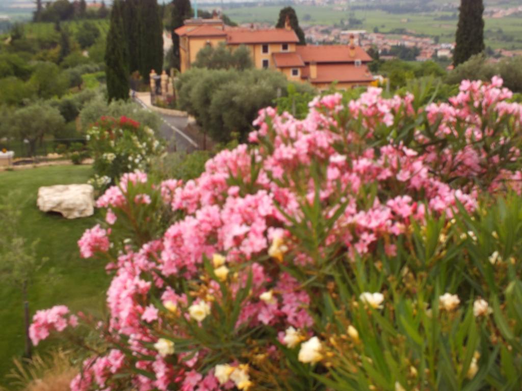 Villa Oleandri San Pietro in Cariano Quarto foto